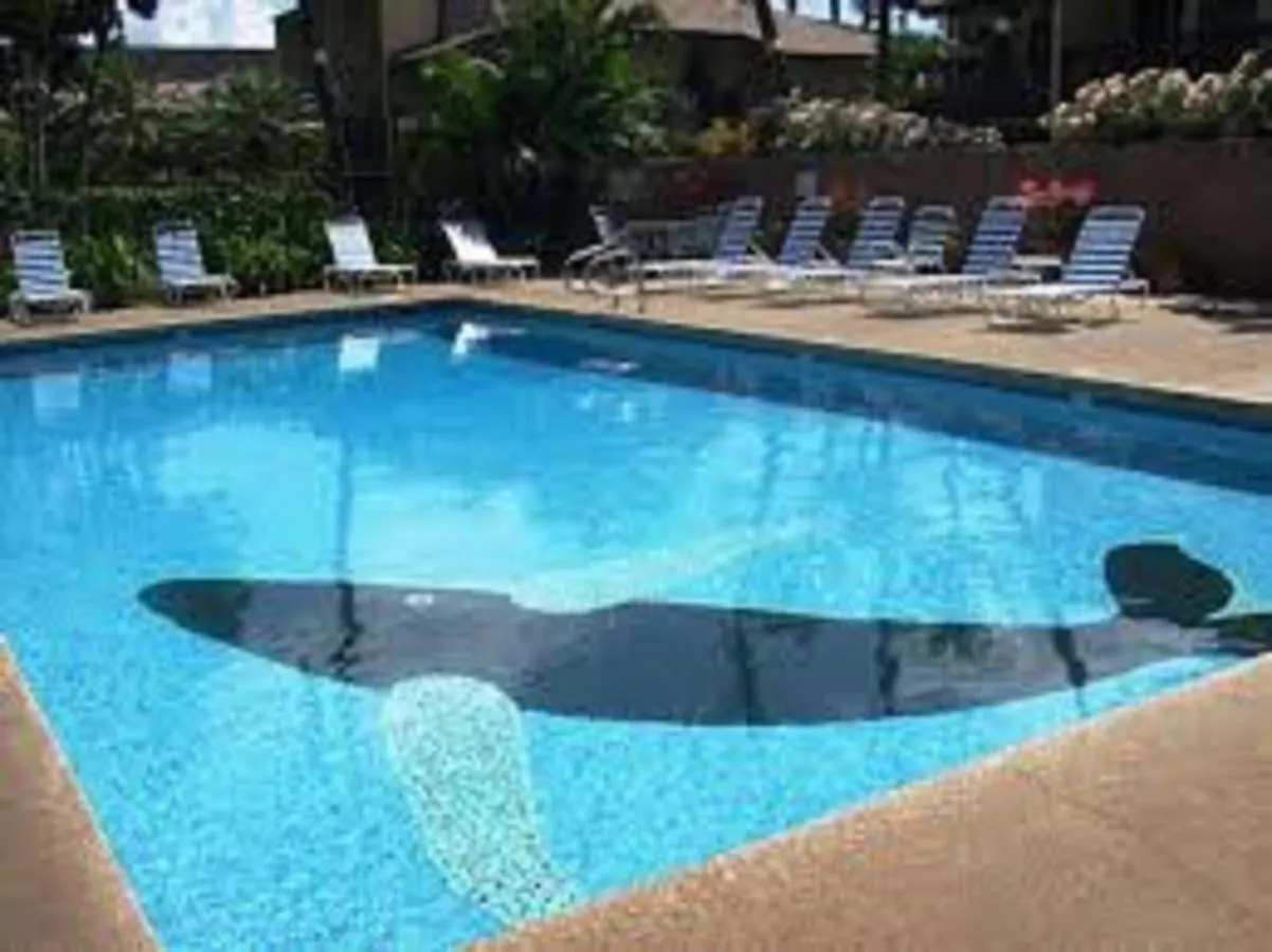 Kihei Garden Estates G102 - One Bedroom Condo