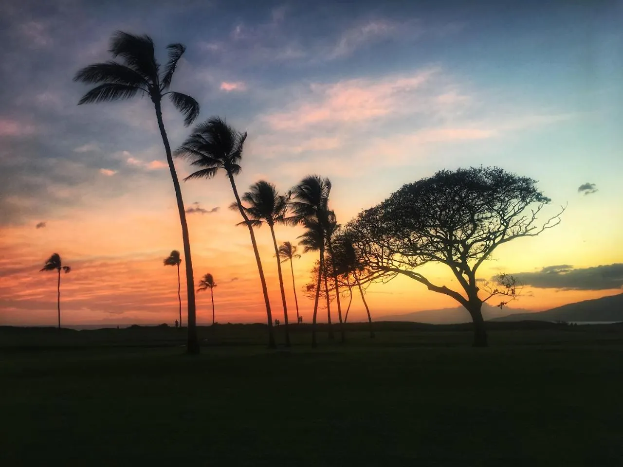 Kihei Garden Estates G102 - One Bedroom Condo 0*,